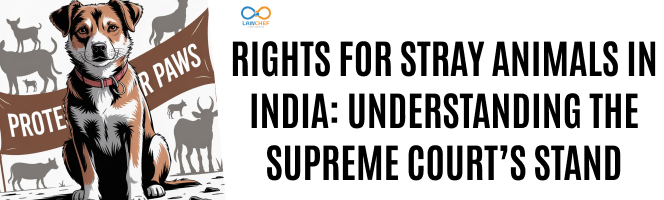 Rights for Stray Animals in India: Understanding the Supreme Court’s Stand